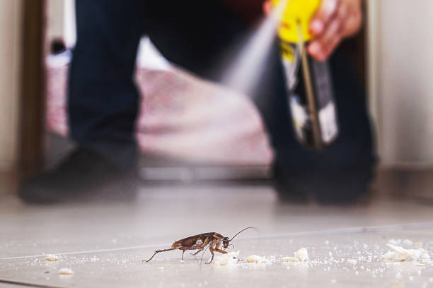 Best Bed Bug Extermination  in Oregon, IL