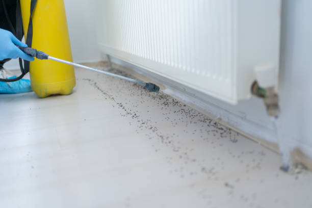Reliable Oregon, IL Pest Control Solutions